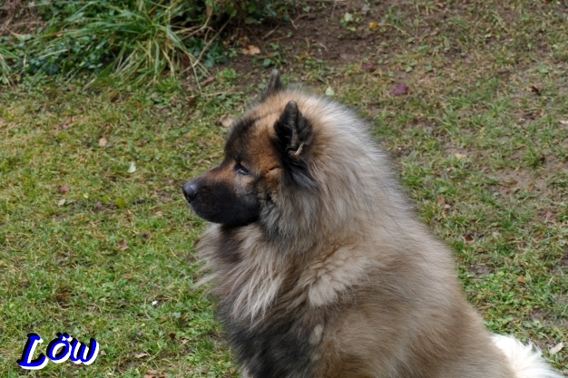 11.12.2025 - Au Weh, das Alter ist da